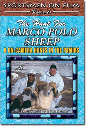 The Hunt For Marco Polo Sheep